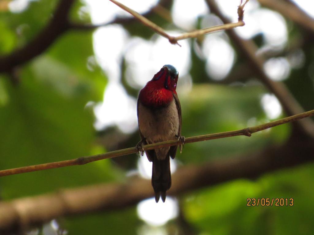 Hotel Mount View Heritage Panchgani Esterno foto